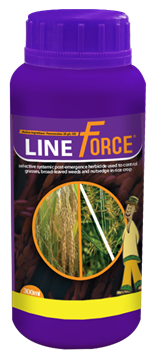 Lineforce 300ml.png